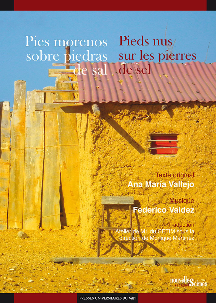 Pies morenos sobre piedras de sal / pieds nus sur les pierres de sel