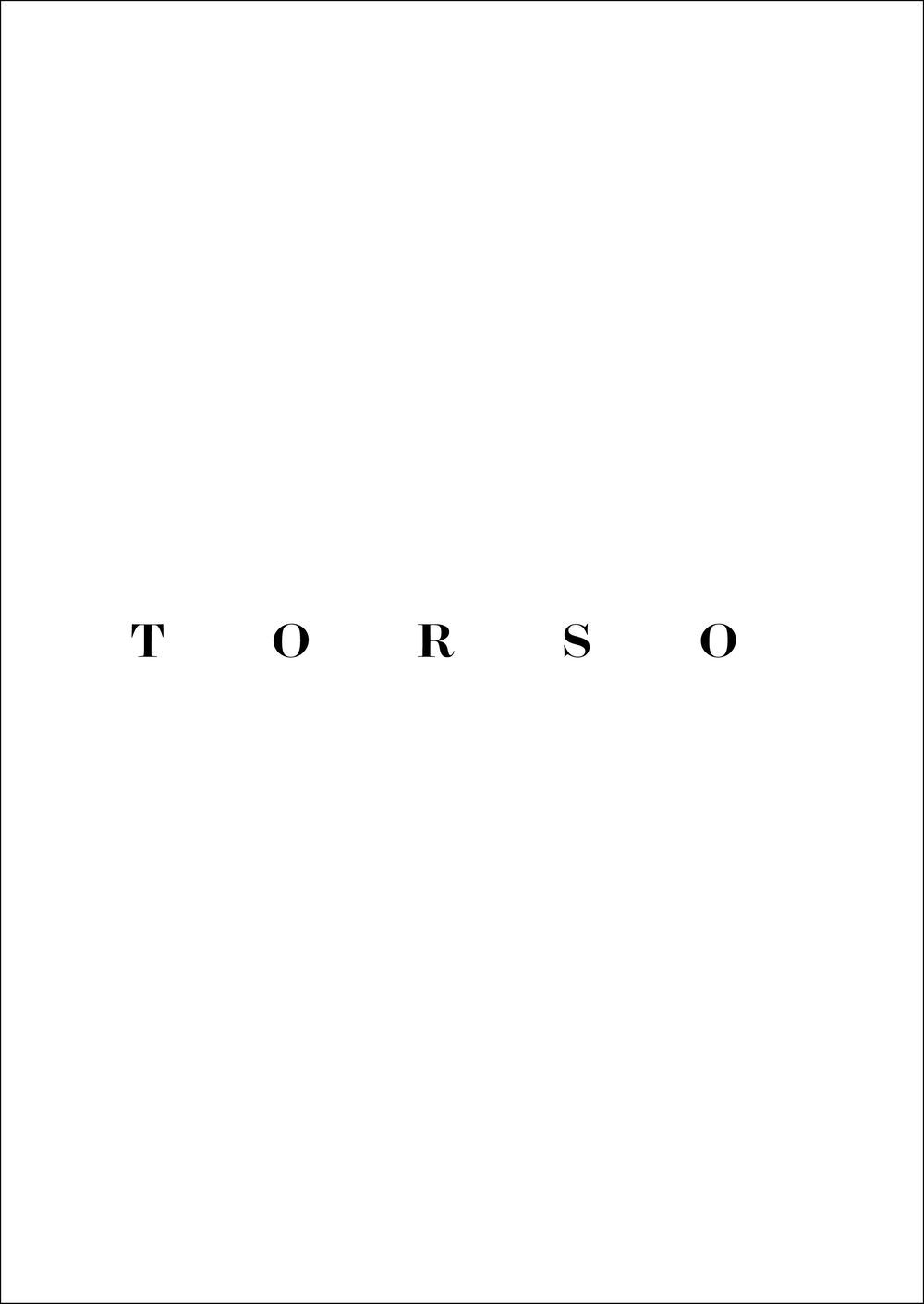 Torso