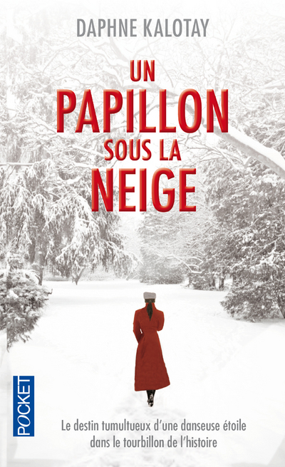 Un papillon sous la neige