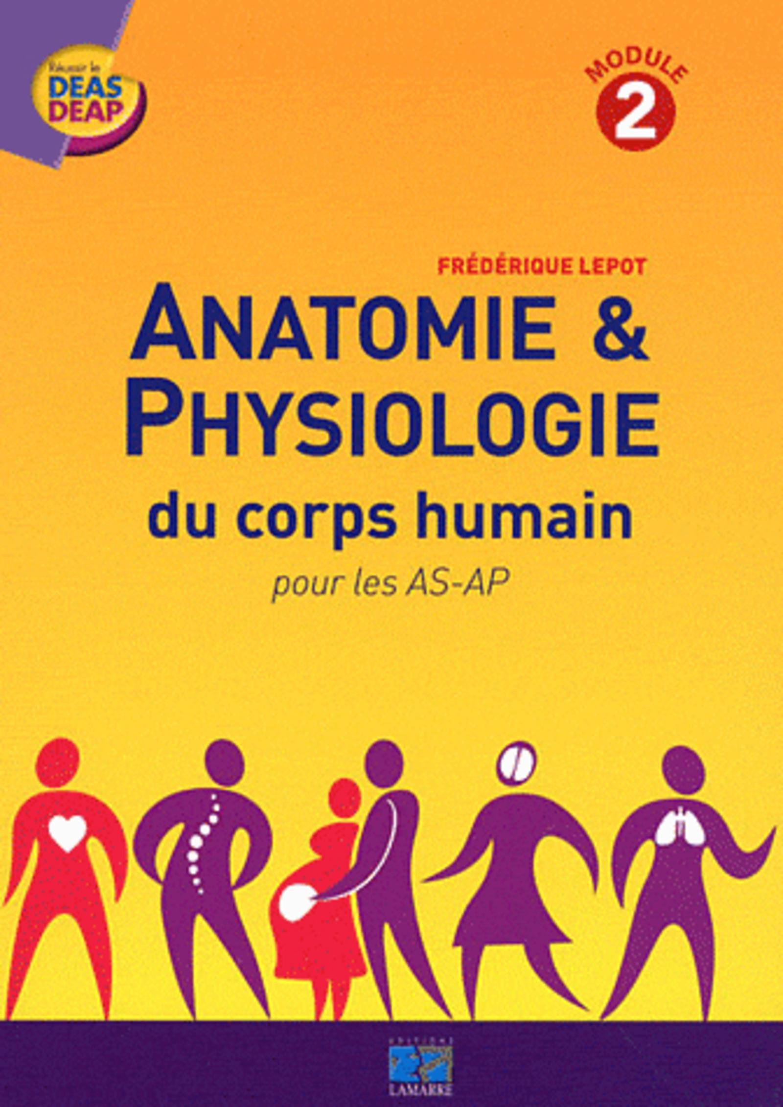 ANATOMIE ET PHYSIOLOGIE DU CORPS HUMAIN POUR LES AS AP MODULE 2