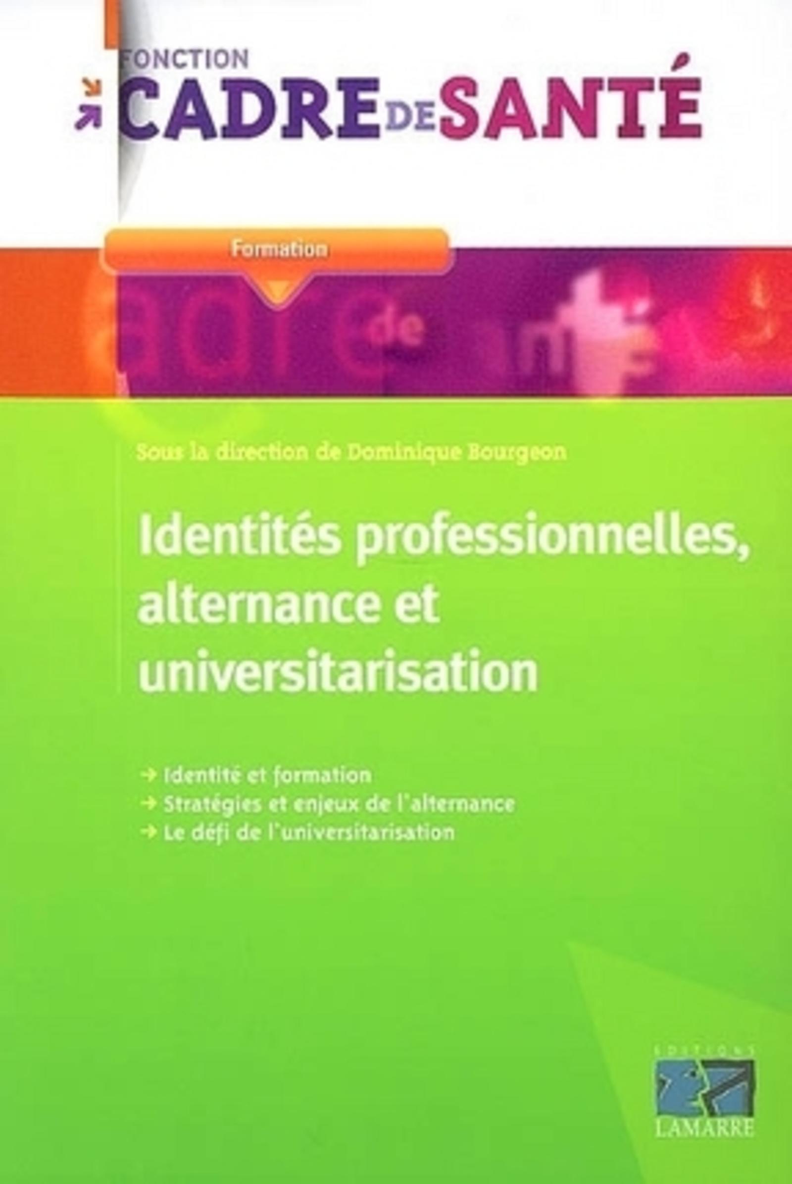 IDENTITES PROFESSIONNELLES ALTERNANCE ET UNIVERSITARISATION