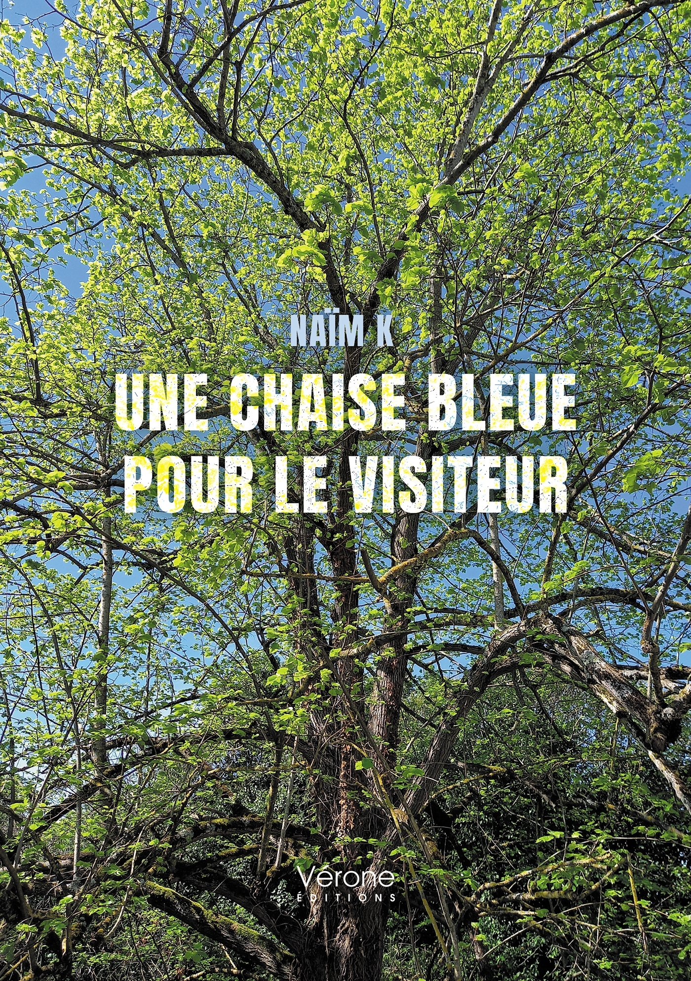 Une chaise bleue pour le visiteur