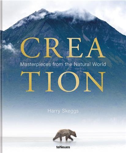 Harry Skeggs Creation Masterpieces from the Natural World /anglais/allemand