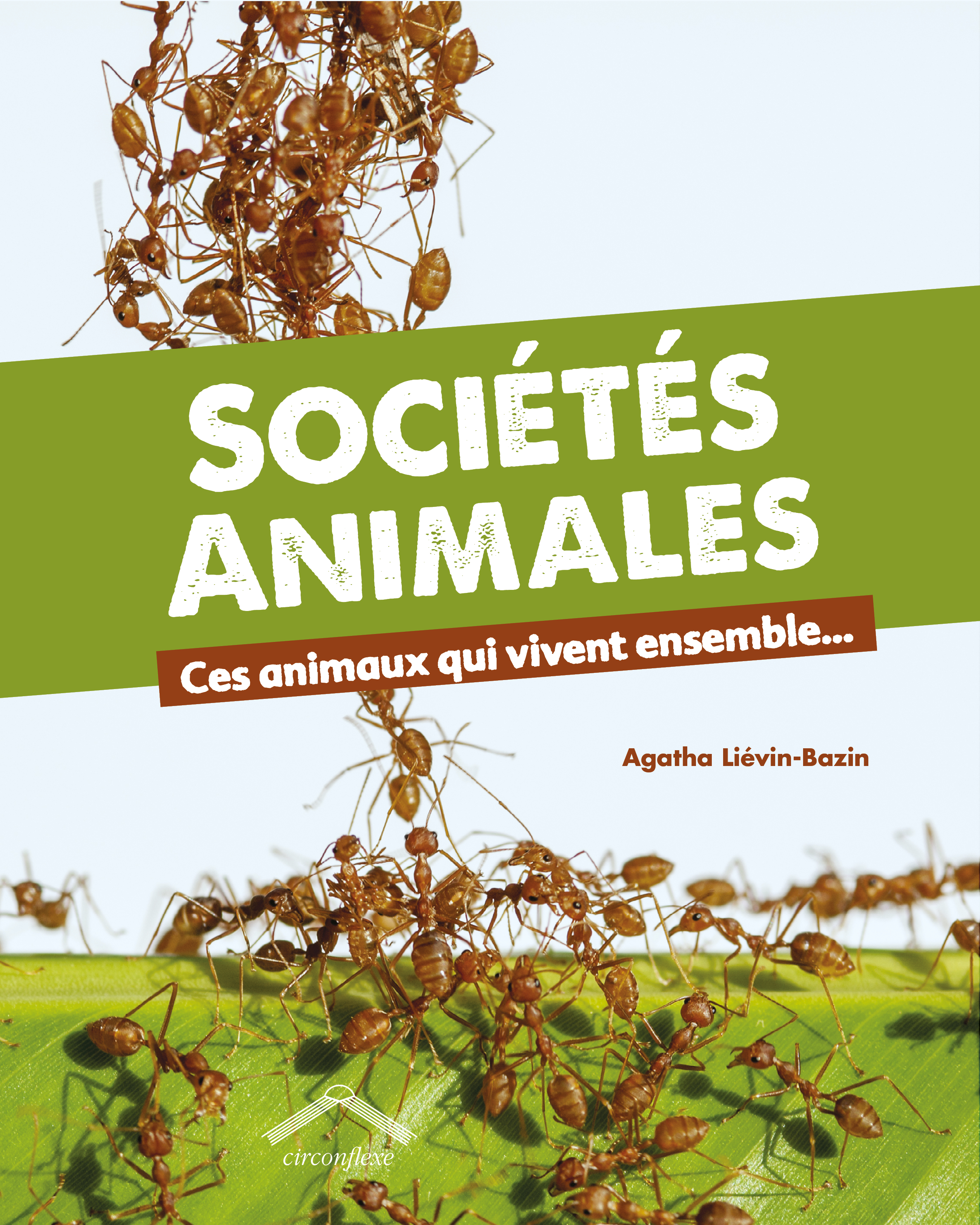 Sociétés animales 