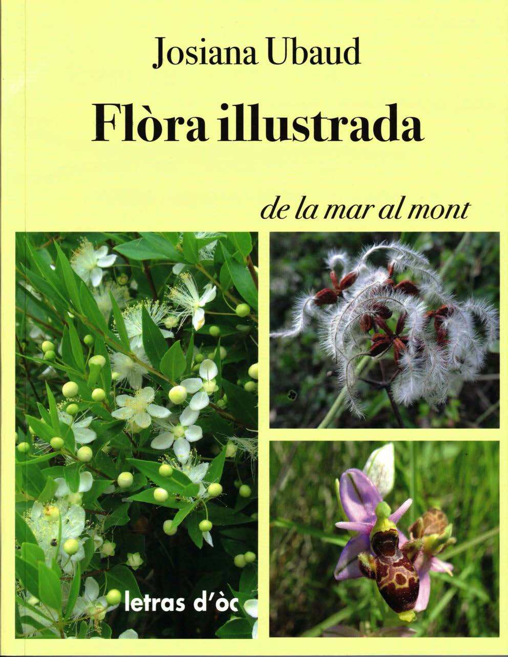 Flòra illustrada