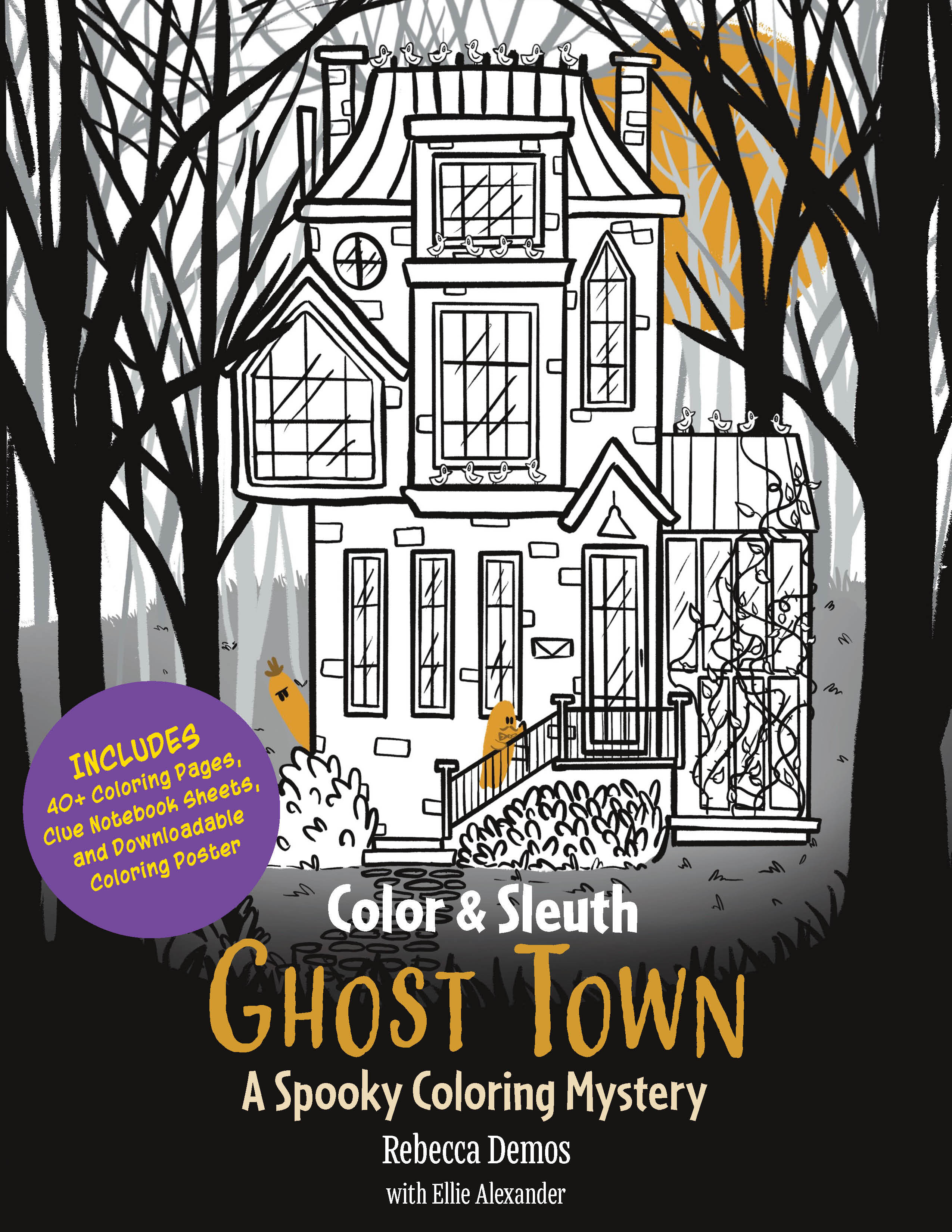 Color & Sleuth: Ghost Town