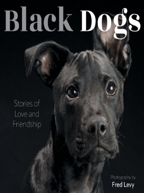 Black Dogs