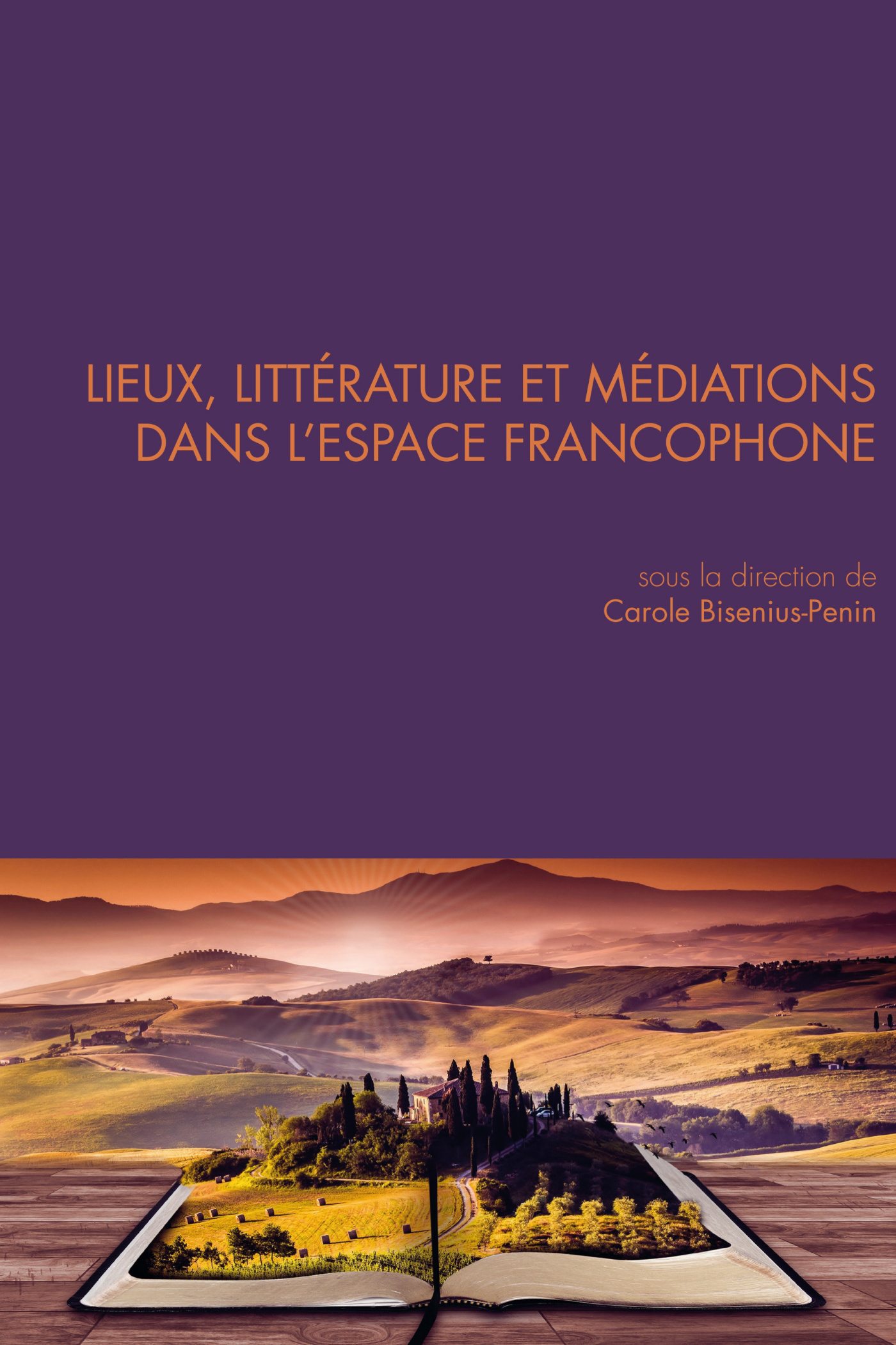QUESTIONS DE COMMUNICATION, SERIE ACTES 36 / 2017. LIEUX, LITTERATURE  ET MEDIATIONS DANS L'ESPACE F