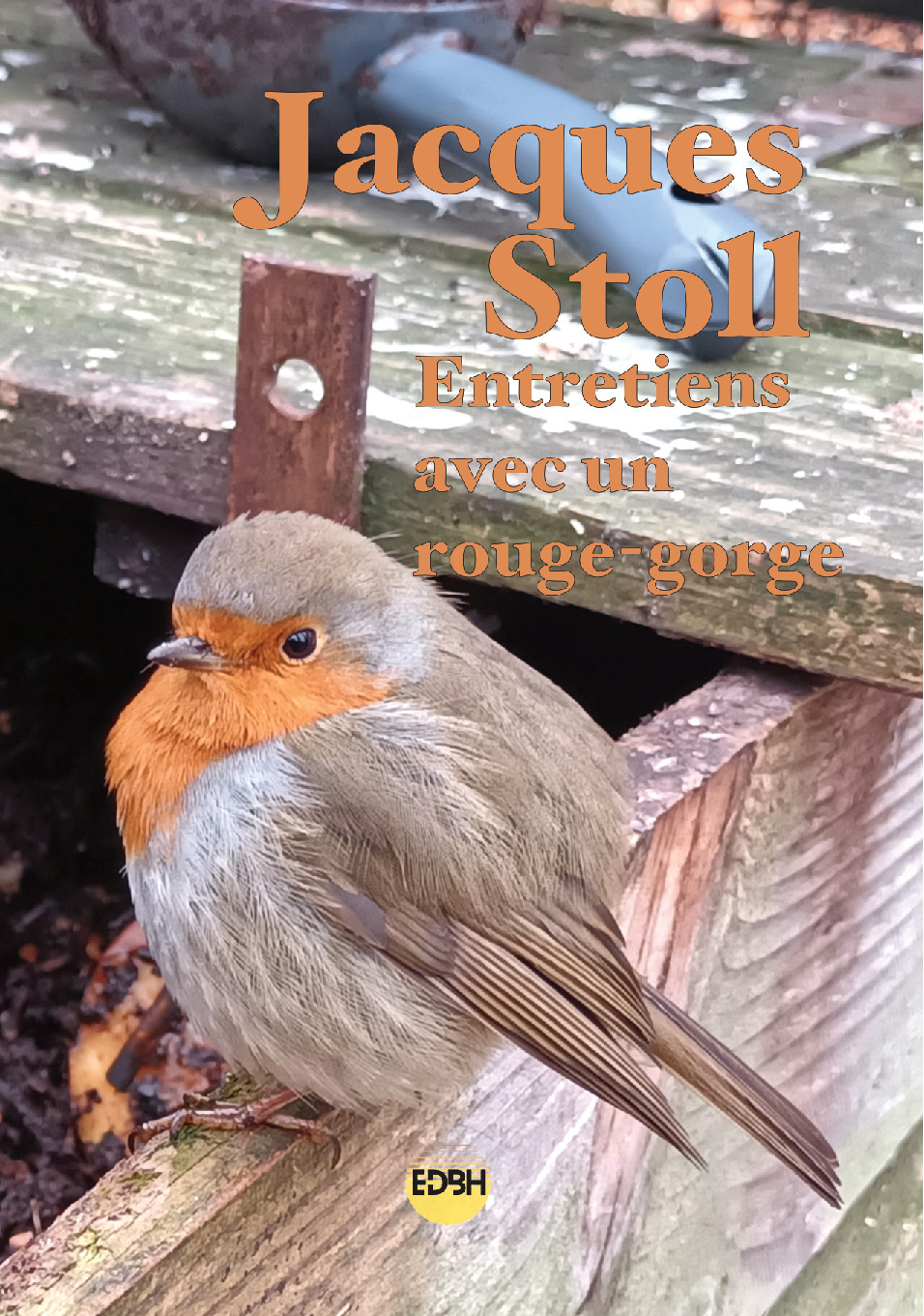 Entretiens avec un rouge-gorge