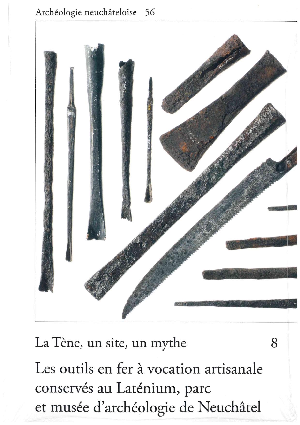 La Tène, un site, un mythe 8