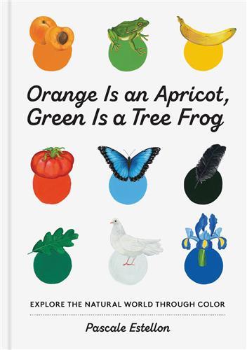 Orange is an Apricot, Green is a Tree Frog /anglais