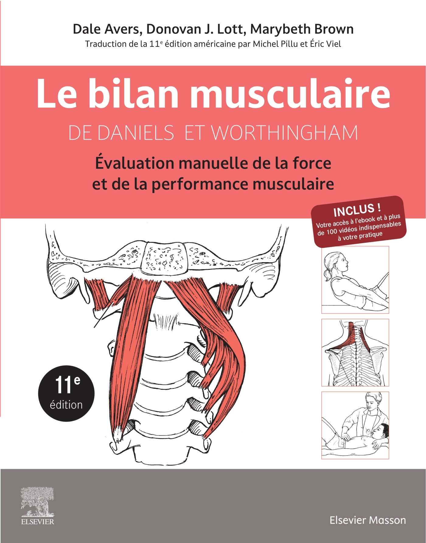 Le bilan musculaire de Daniels et Worthingham
