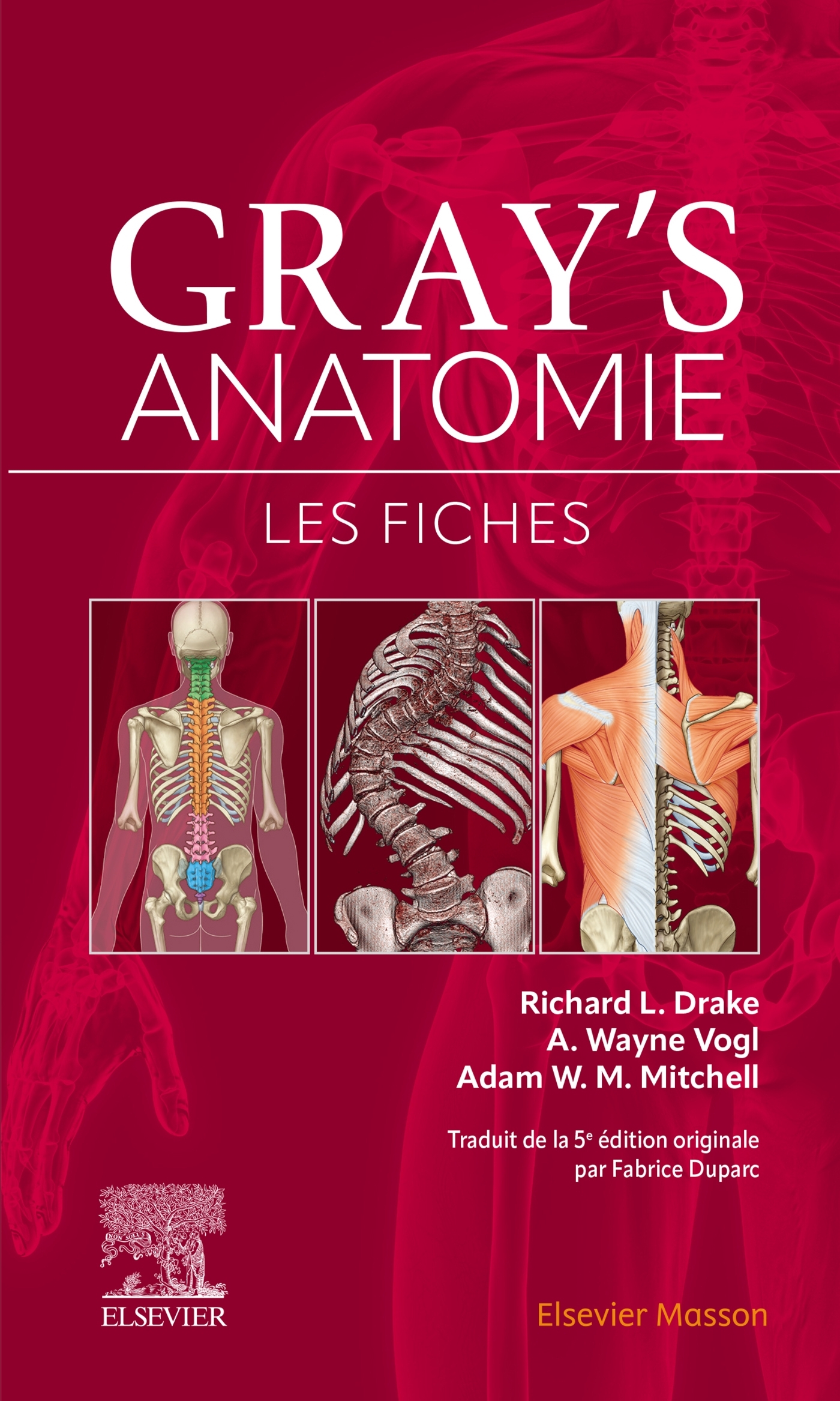 Gray's Anatomie - Les fiches