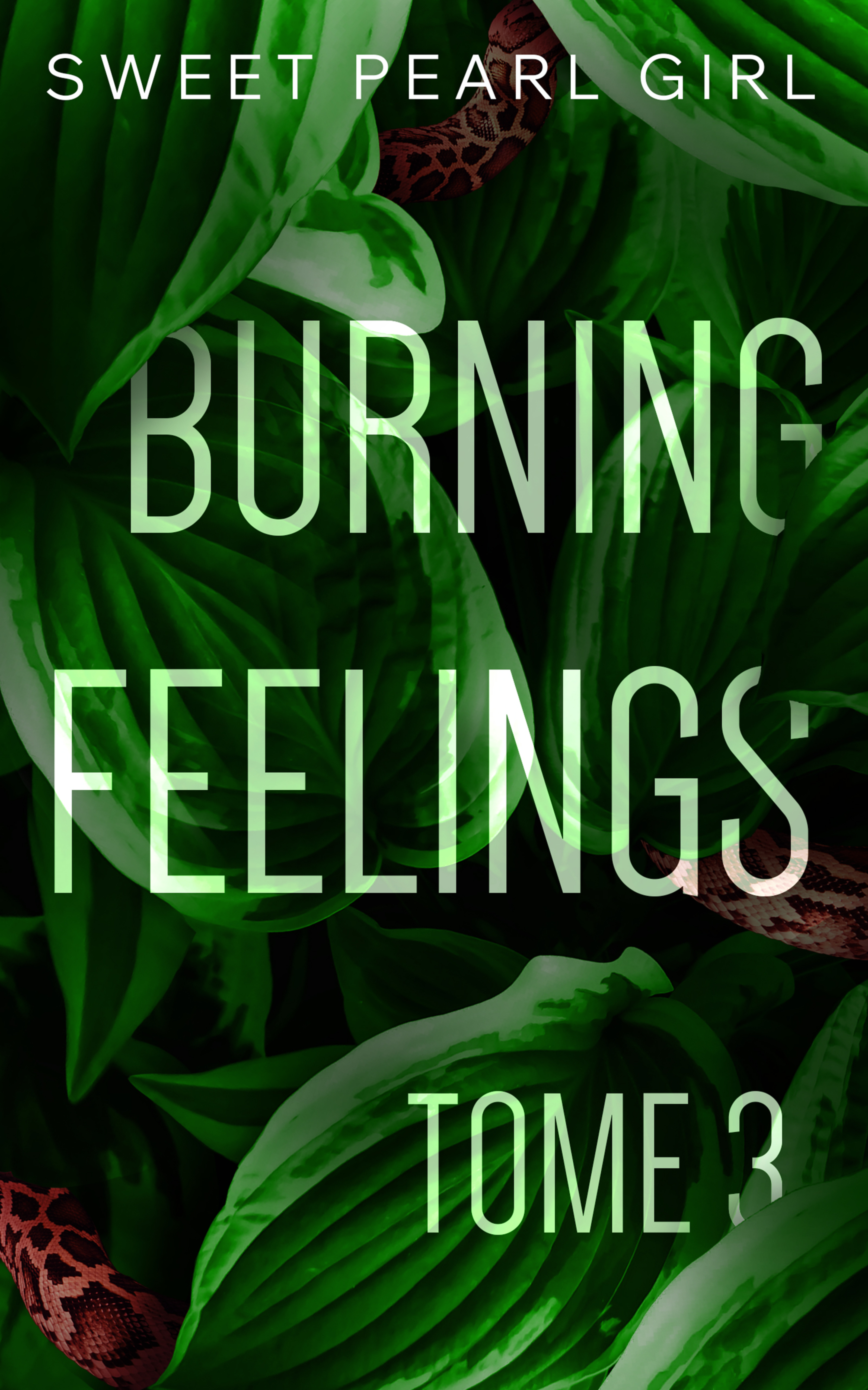 BURNING FEELINGS : TOME 3