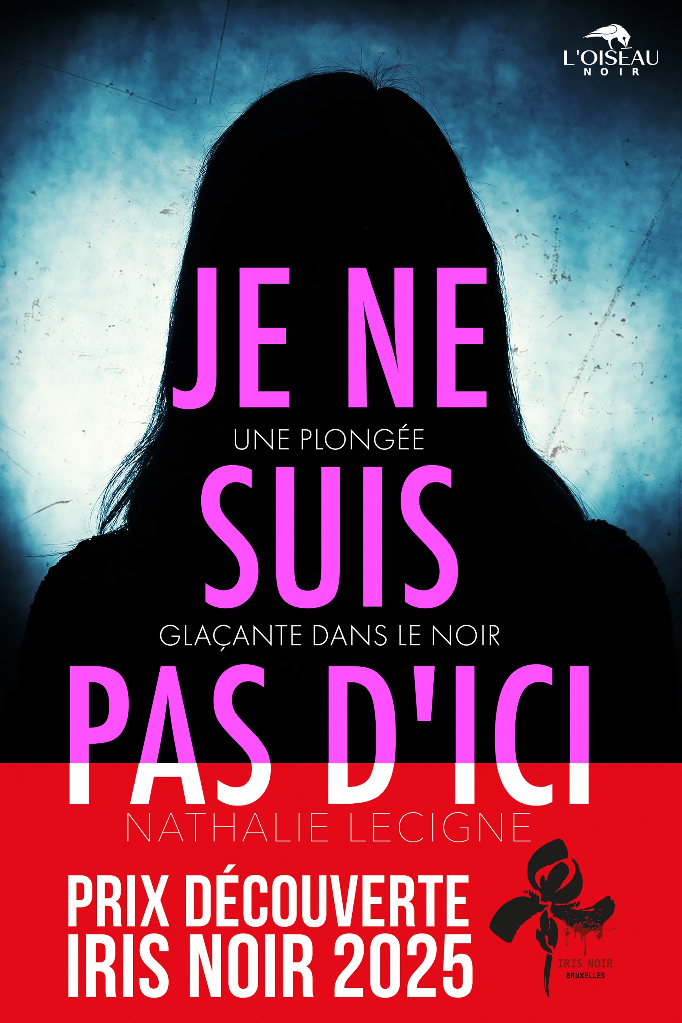 JE NE SUIS PAS D'ICI