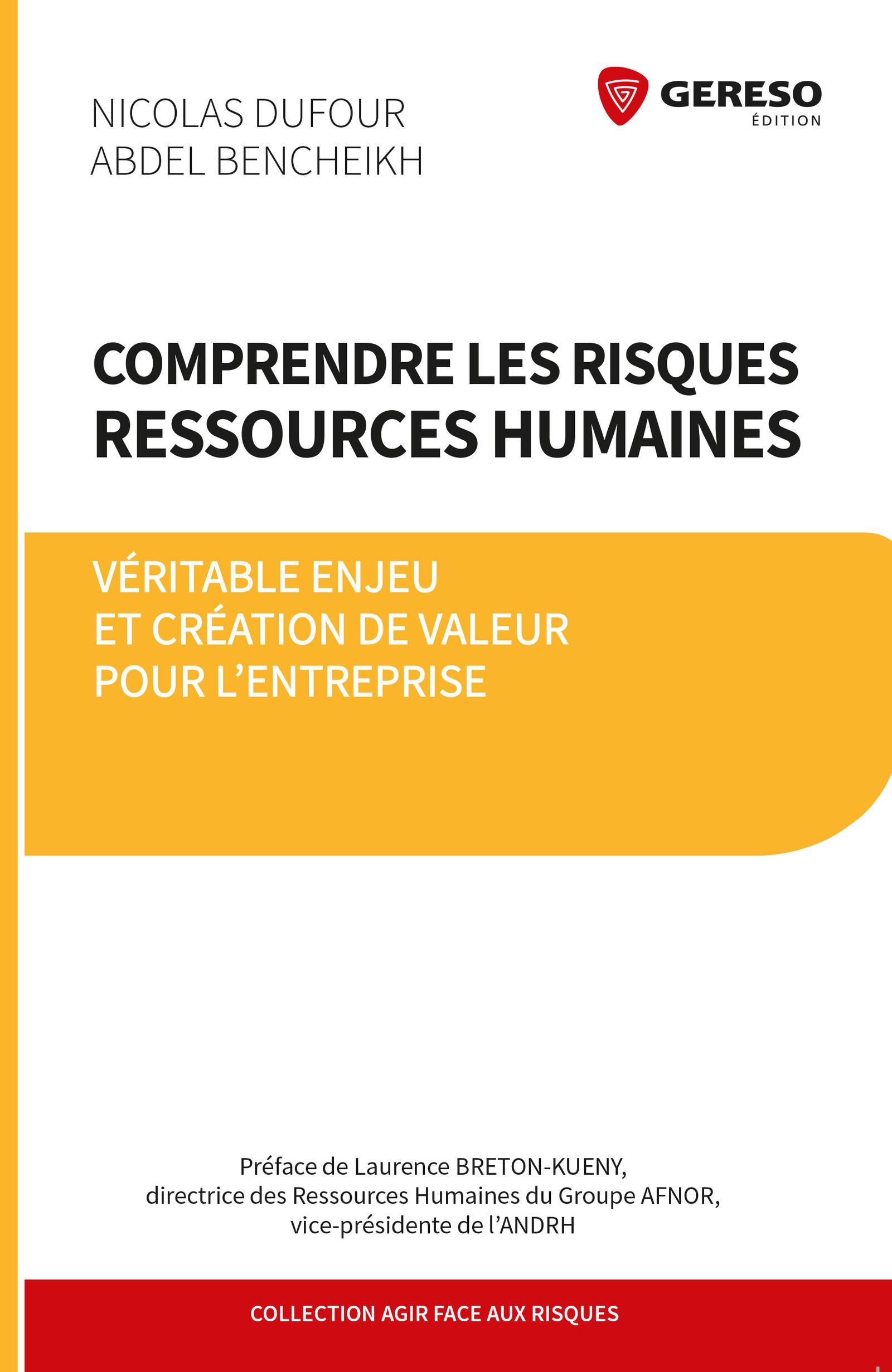 COMPRENDRE LES RISQUES RESSOURCES HUMAINES