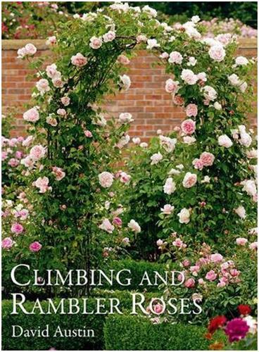 Climbing and Rambler Roses /anglais