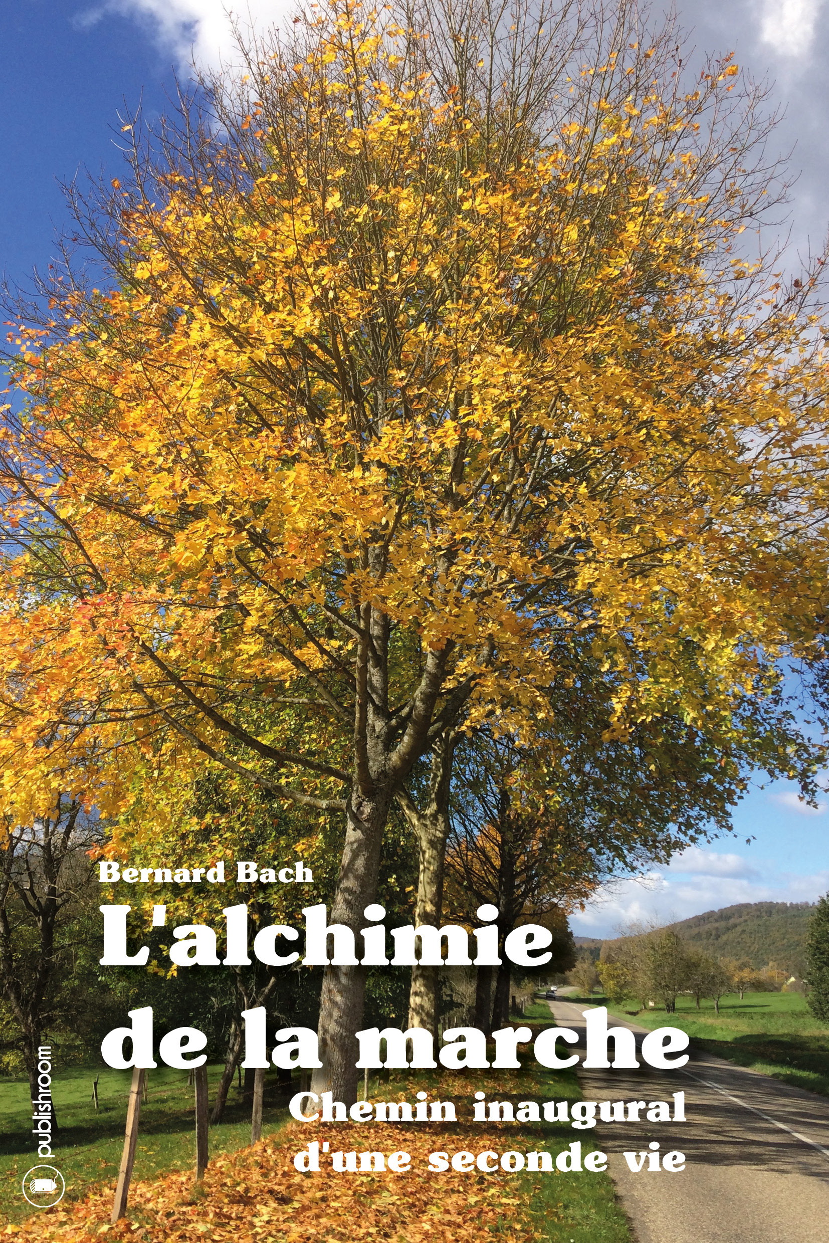L'alchimie de la marche - chemin inaugural d'une seconde vie