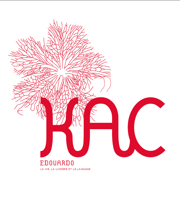 La vie, la lumière & le langage