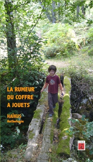 La rumeur du coffre a jouets, haikus