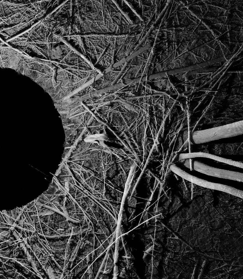 Félix Luque Sánchez