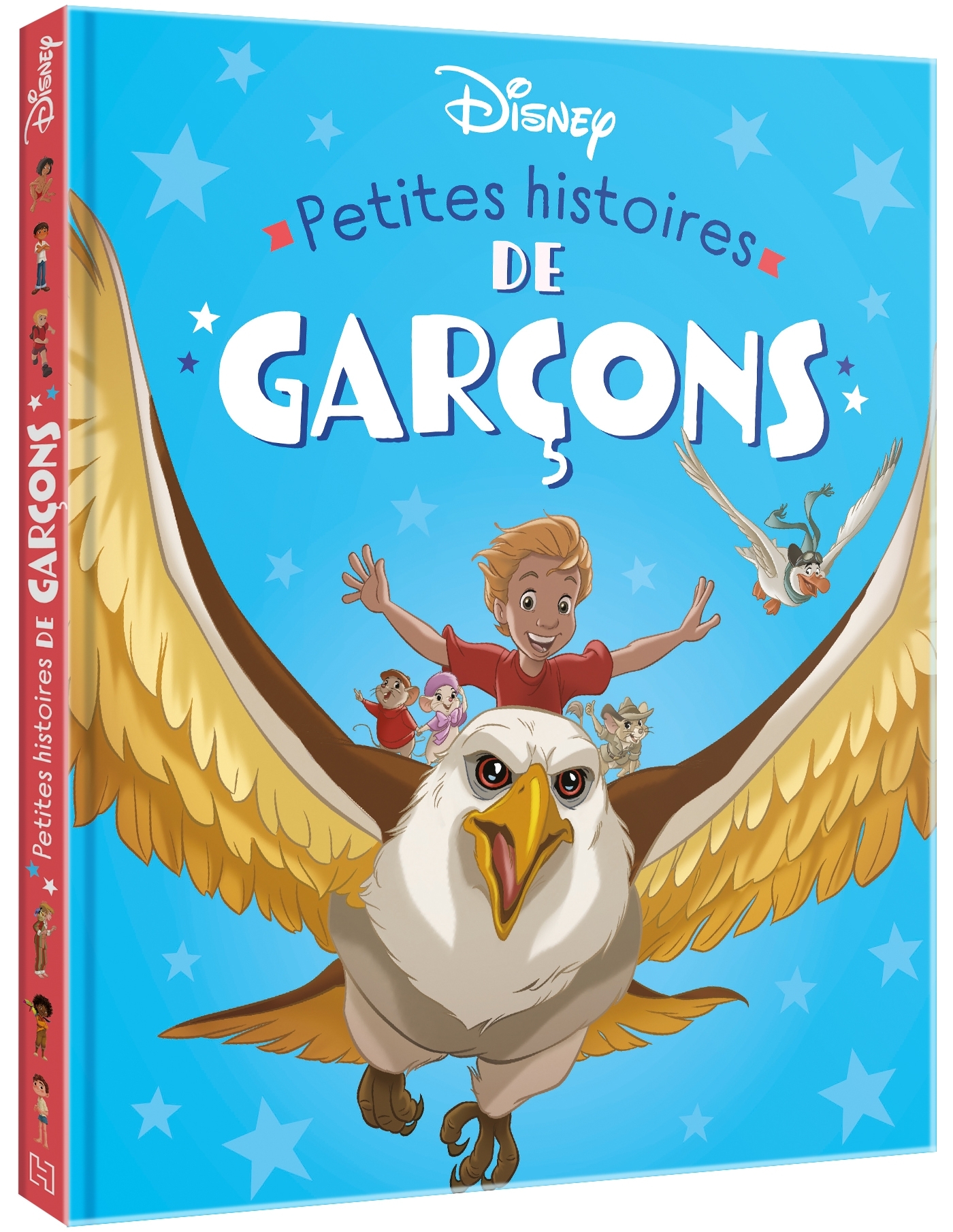 DISNEY - Petites Histoires de Garçons
