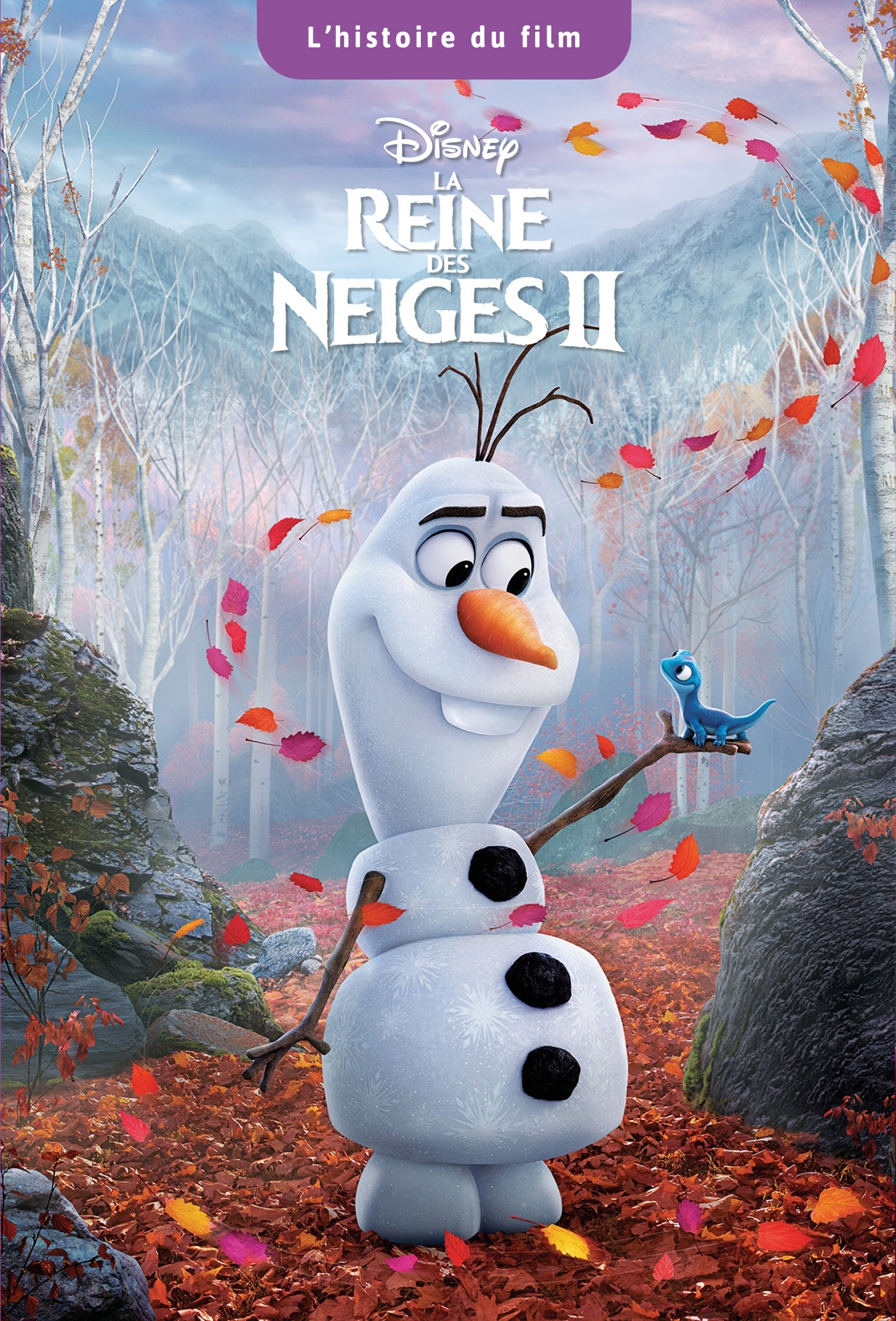 LA REINE DES NEIGES 2 - L'Histoire du film - Disney