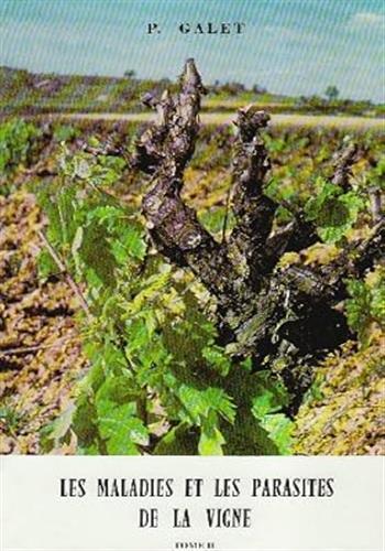 Les maladies et les parasites de la vigne