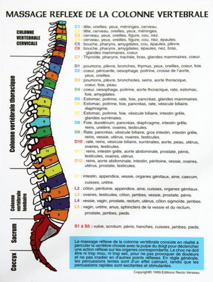 Massage réflexe colonne vertébrale