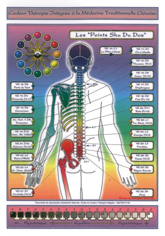Planche Points Shu du dos - A4