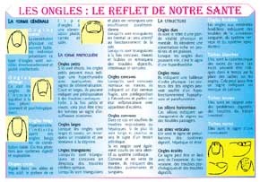 Ongles. reflets de notre santé