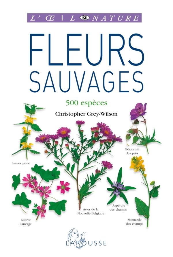 Fleurs sauvages - nouvelle présentation