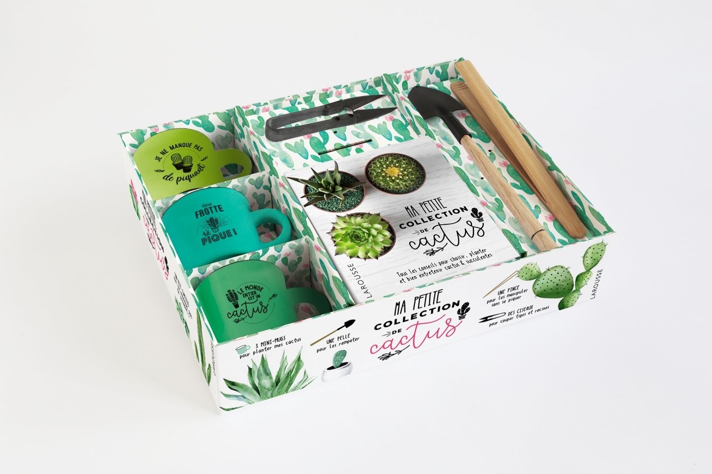 Ma petite collection de cactus