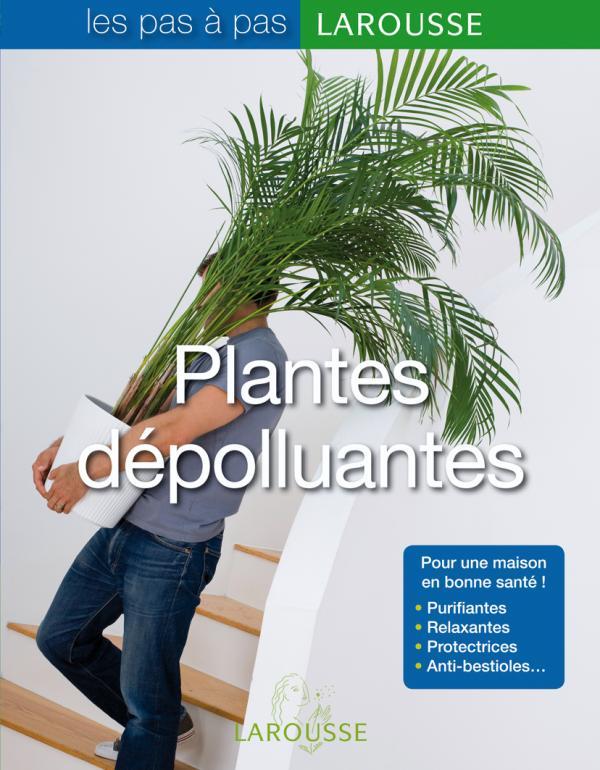 Les plantes dépolluantes