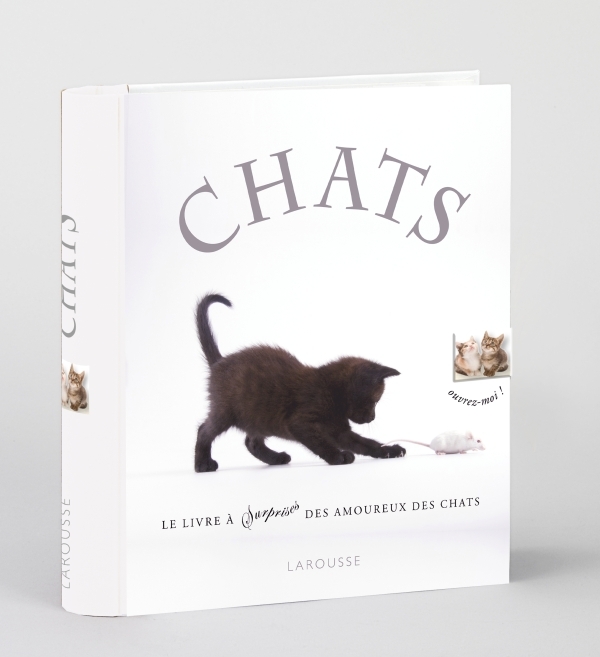 Chats - nouvelle présentation