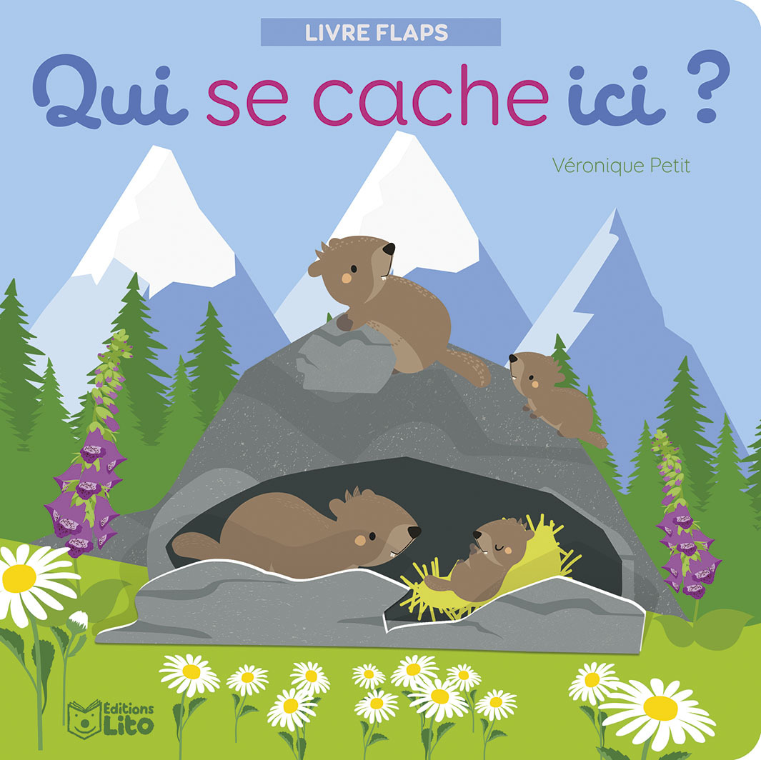 QUI SE CACHE ICI ANI. MONTAGNE