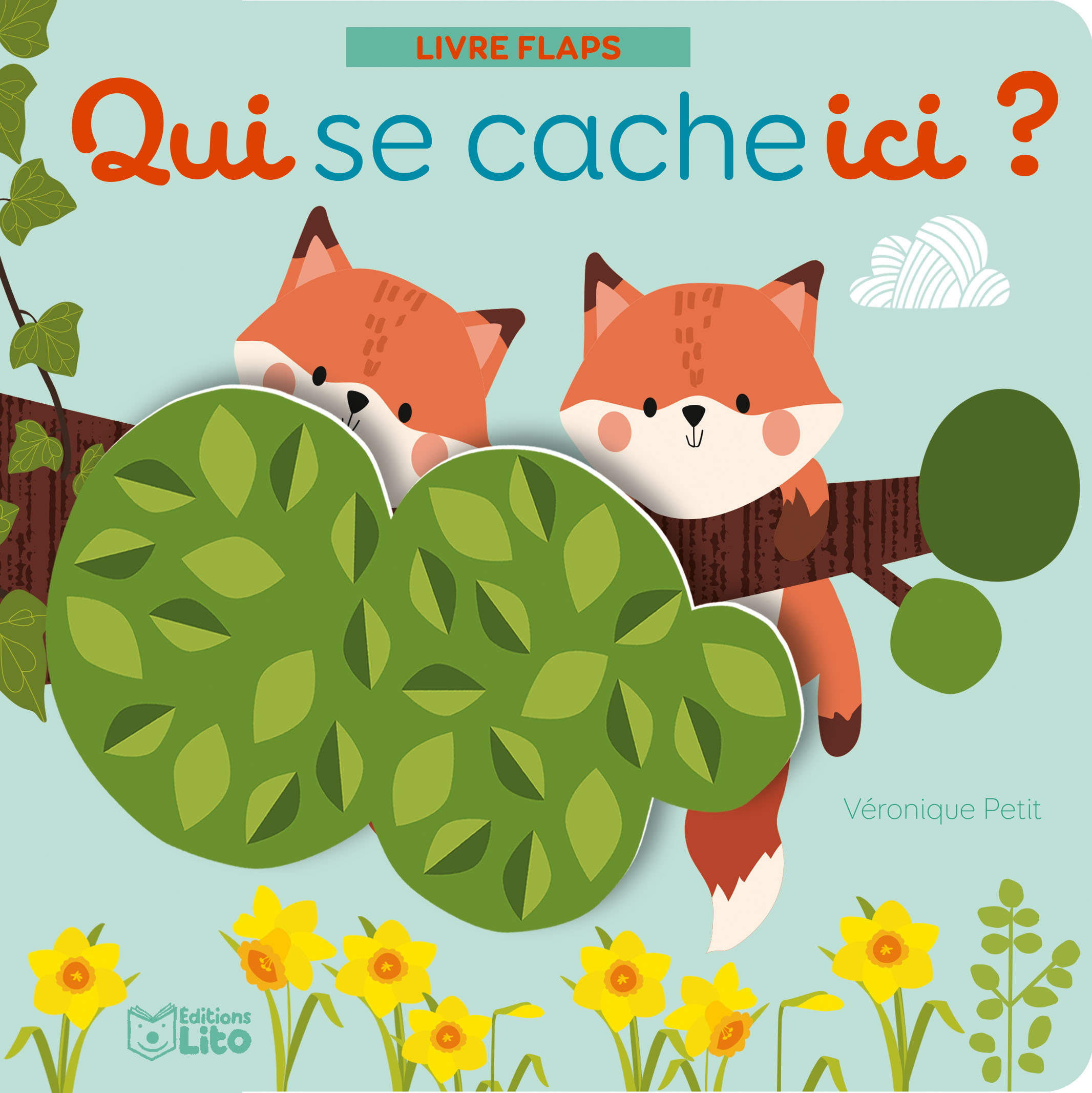 QUI SE CACHE ICI ANI. FORET