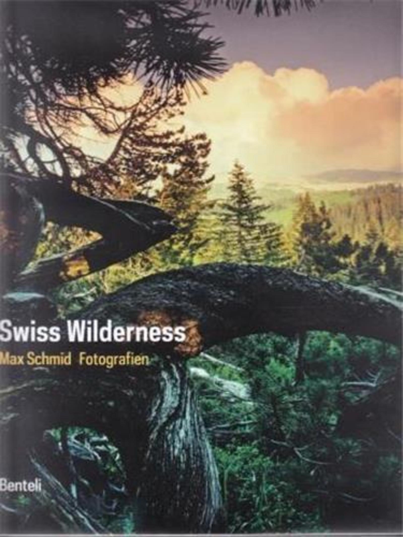 Swiss wilderness