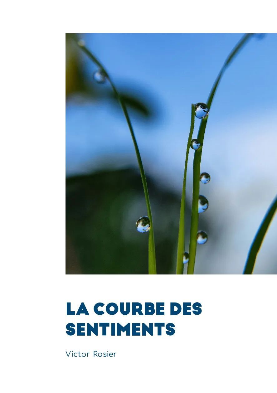 La courbe des sentiments