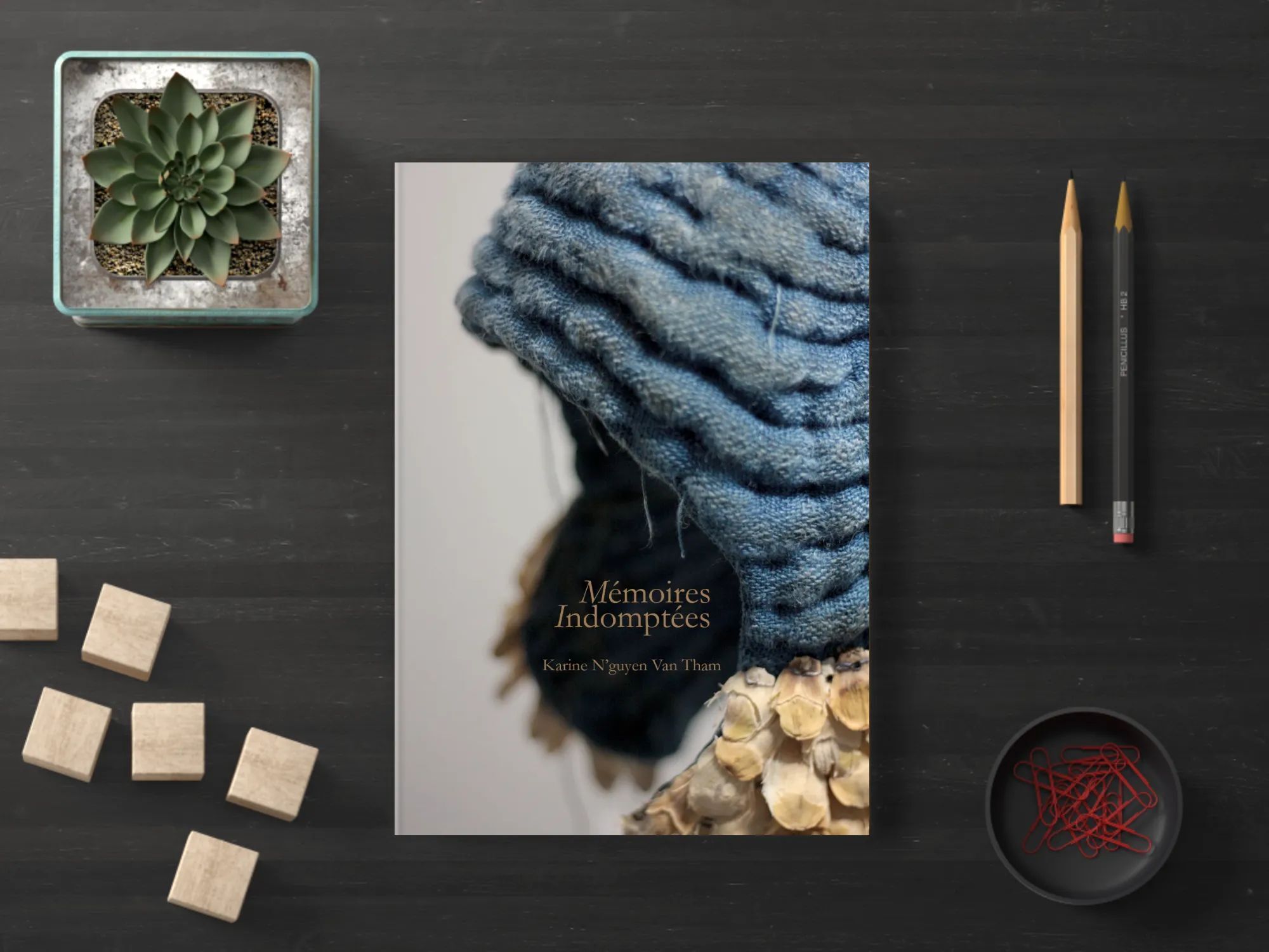 Mémoires indomptées