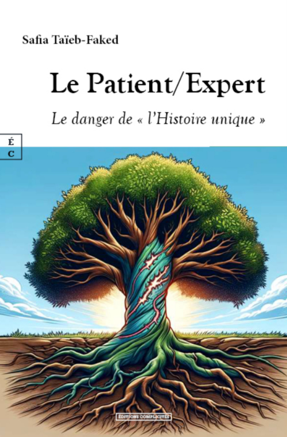LE PATIENT/EXPERT : LE DANGER DE   L HISTOIRE UNIQUE
