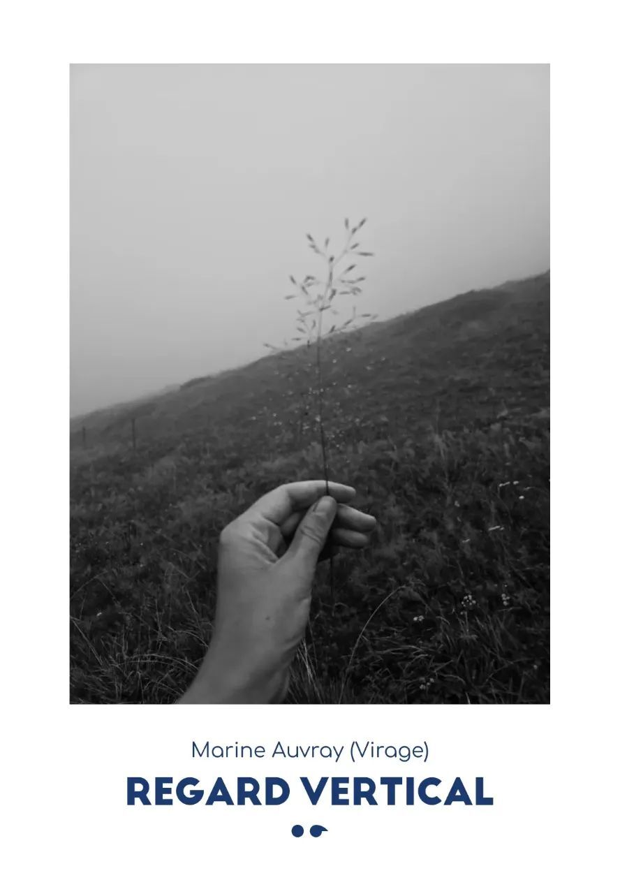 Regard vertical