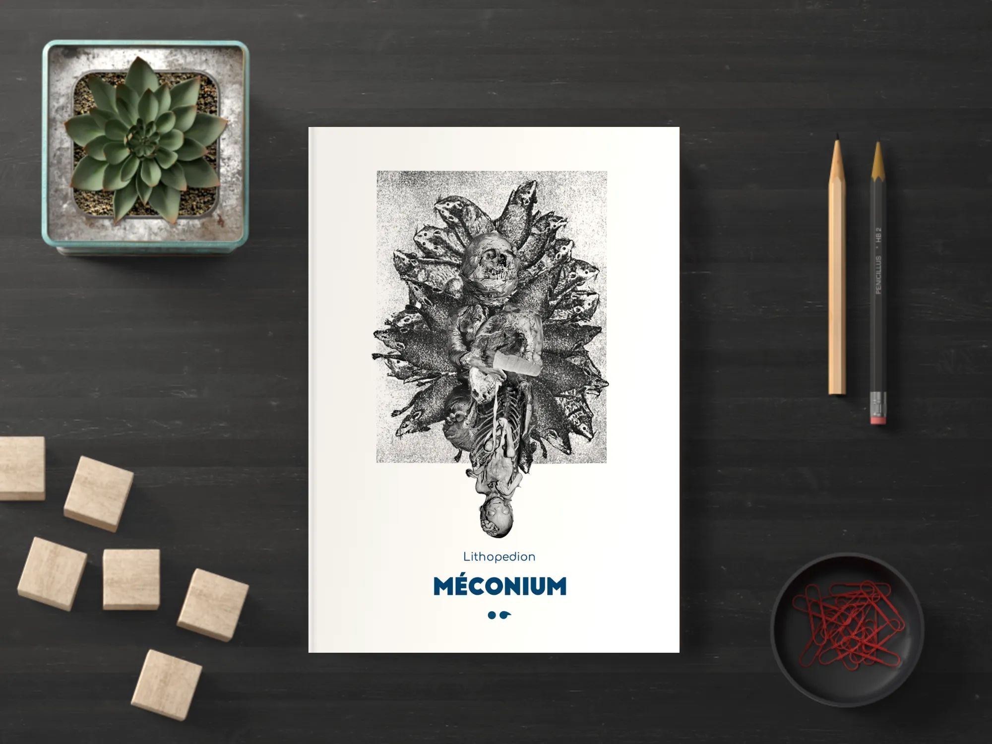 Méconium