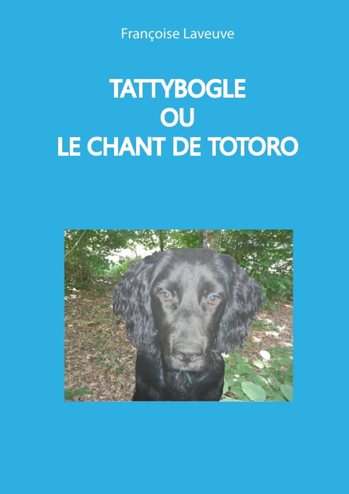 TATTYBOGLE OU LE CHANT DE TOTORO