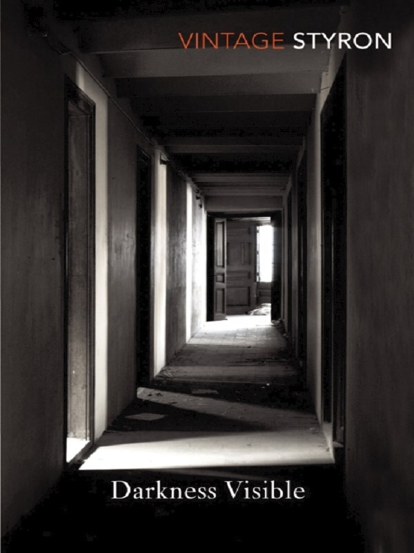 Darkness Visible