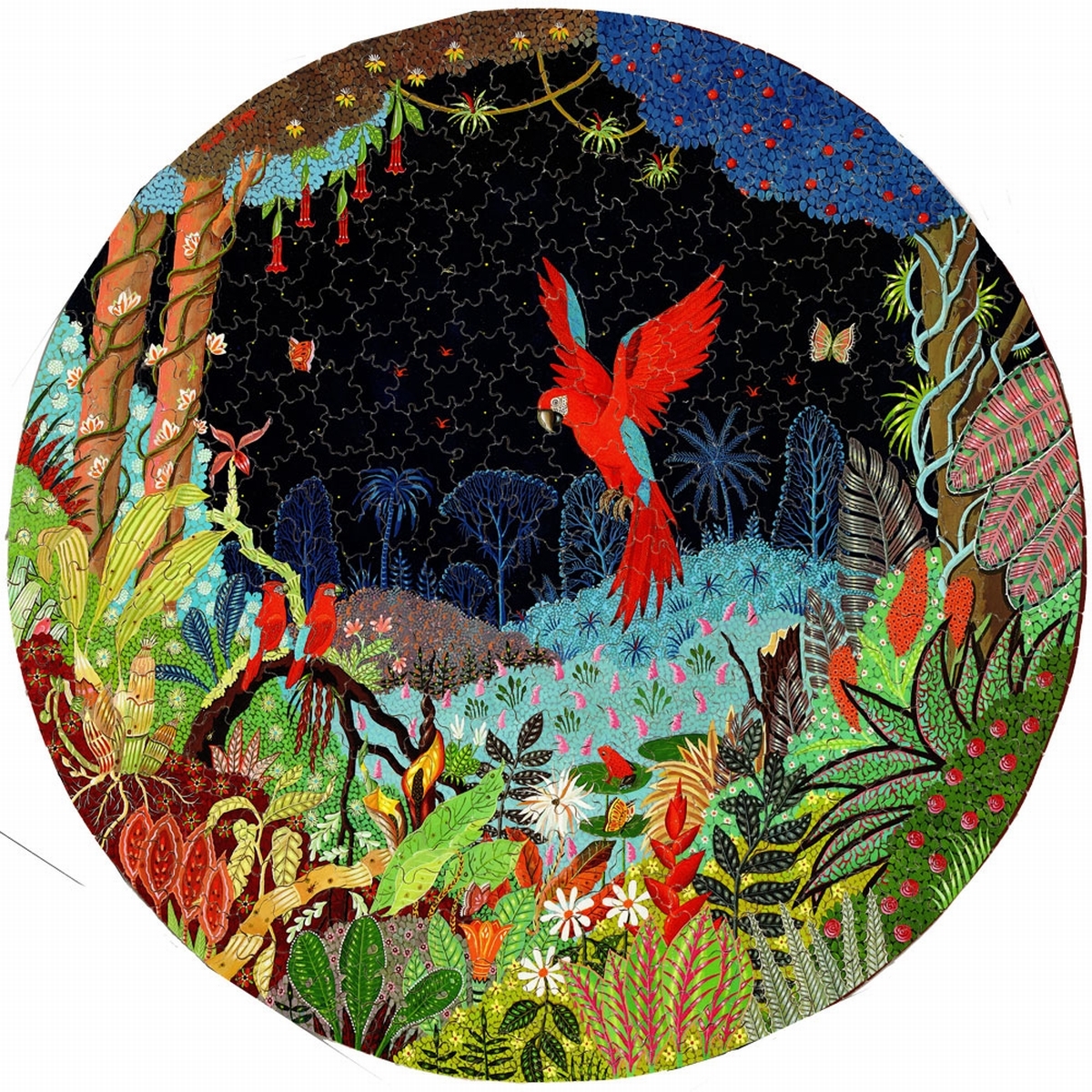 Ara nocturne et ses petits