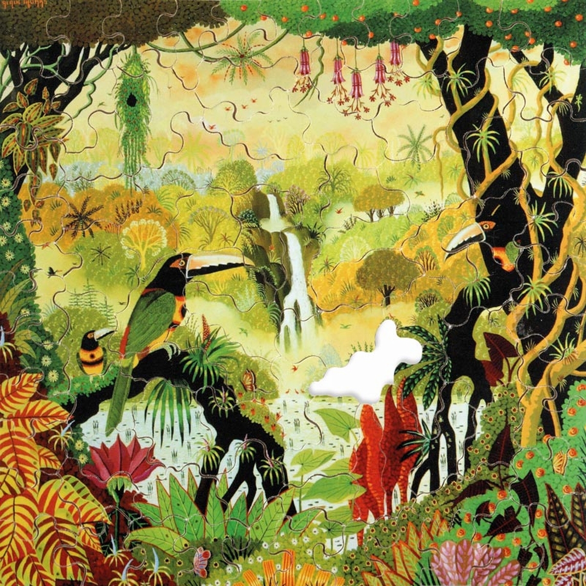 Toucan à la cascade