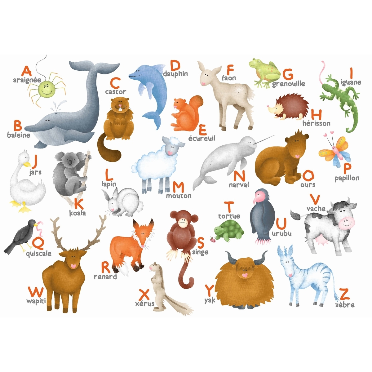 L'alphabet des animaux