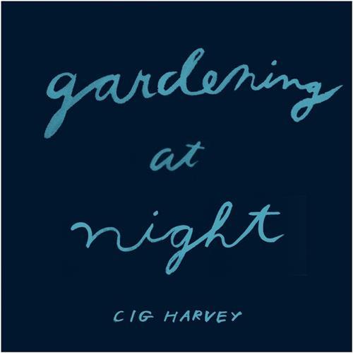 Cig Harvey Gardening at Night /anglais