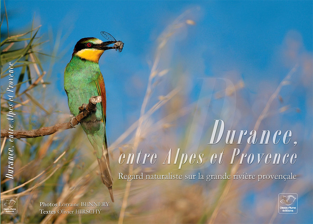 Durance, entre Alpes et Provence